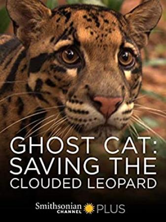 Ghost Cat Saving the Clouded Leopard 2007 1080p WEBRip x264-RARBG
