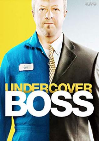 Undercover Boss US S10E03 XviD-AFG