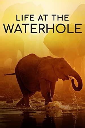 Life at the Waterhole Series 1 Part 3 1080p HDTV x264 AAC