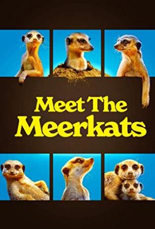 Meet the Meerkats S01E04 Hostile Lands XviD-AFG