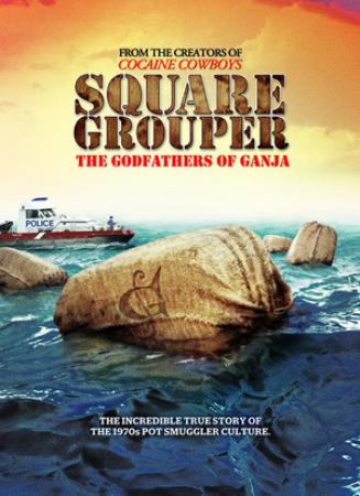 Square Grouper 2011 720p BDRip x264 AC3 ENG GER-MiSFiTS