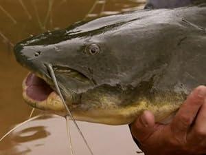 River Monsters S01E06 Amazon Flesh Eaters 1080p AMZN WEB-DL DDP2.0 H.264-NTb[TGx]
