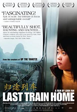 Last Train Home 2009 CHINESE ENSUBBED WEBRip XviD MP3-VXT