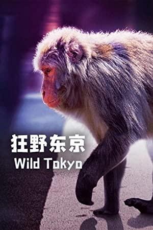 Wild Tokyo (2020) [1080p] [WEBRip] [YTS]