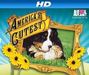 Americas Cutest S03E05 Cat Kitty Love XviD-AFG