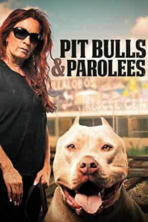 Pit bulls and parolees s05e02 shell shocked hdtv x264-w4f