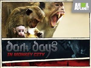 Dark Days in Monkey City S01E13 PDTV XviD-OTV