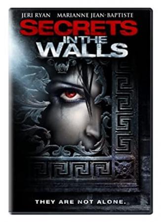 Secrets in the Walls (2010) DVDR (xvid) NL Subs  DMT