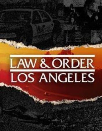 Law & Order LA 1x19 Un Testimone Scomodo ITA WEB-DLMux XviD-UPZ