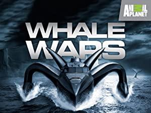 Whale Wars S03E04 Stealth Attack HDTV XviD-MOMENTUM [NO-RAR] - 