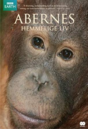 The Secret Life of Primates [2009] BBC