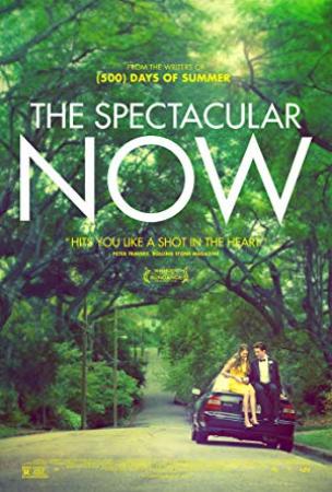The Spectacular Now (2013) [1080p x265 HEVC 10bit BluRay AAC 5.1] [Prof]