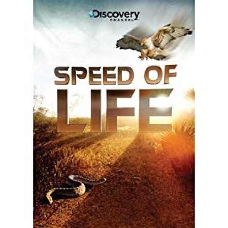 Speed Of Life 1999 WEBRip XviD MP3-XVID