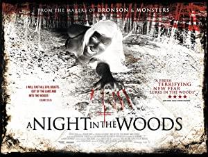 A Night In The Woods 2011 BRRip XviD MP3-XVID
