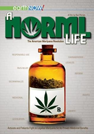 A Norml Life 2011  DVDRip XviD AC3-PRESTiGE