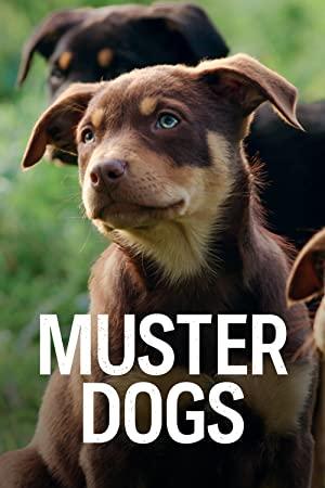 Muster Dogs S02E04 XviD-AFG
