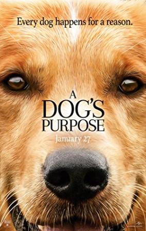一条狗的使命 特效中英字幕 A Dogs Purpose 2017 BD1080P X264 DTS-HD MA 5.1 Mandarin&English CHS-ENG Mp4BaFans