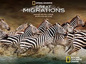 Great Migrations (2010), TVSeries, Disc 3, DVDR(xvid), DMT