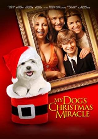 My Dog's Christmas Miracle (2011) DVDR (xvid) NL Subs  DMT