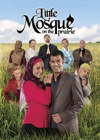 Little Mosque on the Prairie S05E04 HDTV XviD-2HD [eztv]