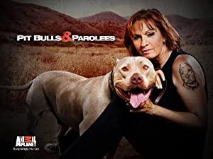 Pit Bulls and Parolees S02E11 Life in the Spotlight HDTV XviD-MOMENTUM