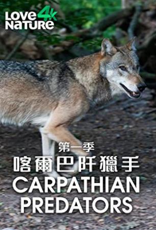 Carpathian Predators S01E01 Realm of the Bear 720p WEB h264-CAFFEiNE[TGx]