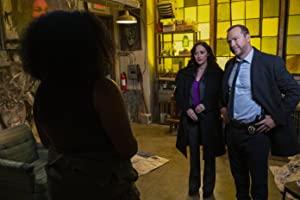 Blue Bloods S12E17 Hidden Motive 1080p AMZN WEBRip DDP5.1 x264-NTb[TGx]