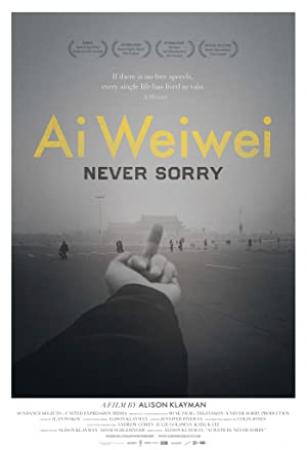 Ai Weiwei Never Sorry 2012 720p LIMITED BluRay x264-GECKOS [PublicHD]