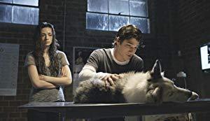 Teen Wolf s01e01