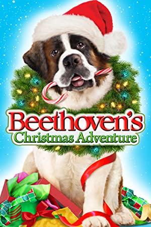 Beethoven's Christmas Adventure 2011 DvDRiP XviD - VISUALiSE