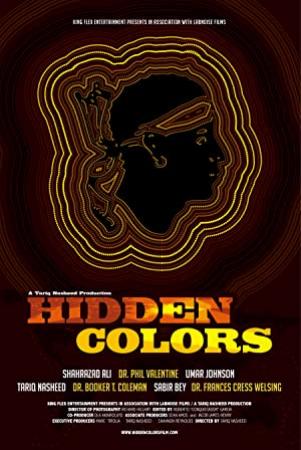 Hidden Colors (2011)-DVDRIp Xvid-THC