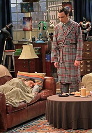 The Big Bang Theory S04E24 The Roommate Transmogrification HDTV XviD