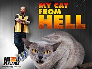 My Cat From Hell S09E02 Mayday Mayday 720p ANPL WEBRip AAC2.0 x264-RTN[rarbg]