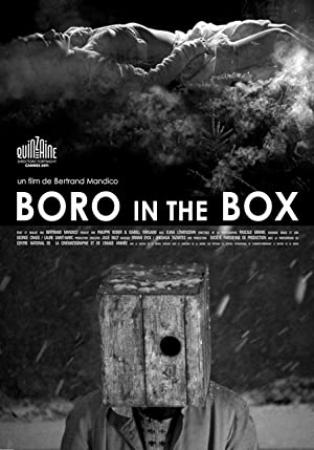 Boro in the Box 2011 FRENCH 1080p WEBRip x264-VXT
