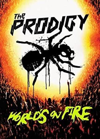 The Prodigy World's on Fire 2011 1080p BluRay DD 5.1 x264-CtrlHD