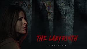 The Labyrinth 2022 720p WEBRip HINDI SUB 1XBET