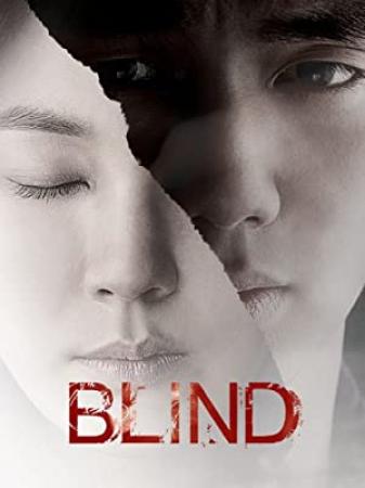 Blind 2011 DVDRip XviD AC3-ViSiON