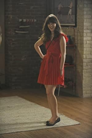 New Girl S01E08 480p HDTV x264-mSD