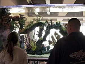 Tanked S01E03 Rules of Engagement 1080p HEVC x265-MeGusta[N1C]