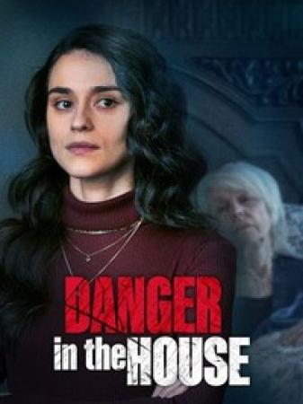 Danger in the House 2022 720p WEB h264-BAE