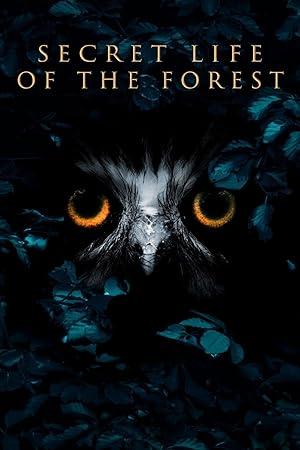 Inside the Forest Seasons of Wonder S01 COMPLETE 720p WEBRip x264-GalaxyTV[TGx]