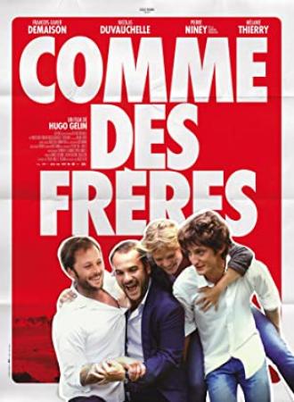 Comme Des Freres 2012 FRENCH DVDRip XviD