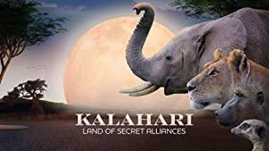 Kalahari Land Of Secret Alliances S01E02 1080p HDTV H264-CBFM[eztv]