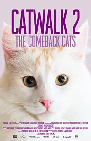 Catwalk 2 The Comeback Cats 2022 720p WEBRip 400MB x264-GalaxyRG[TGx]