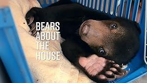 Bears About the House S01E01 XviD-AFG