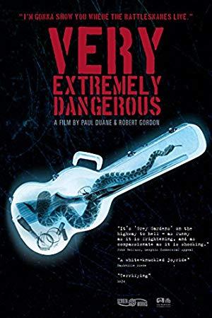 Very Extremely Dangerous 2012 WEBRip x264-ION10