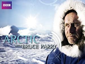Arctic (2018) [Bluray 1080p AVC Ita-Eng DTS-HD MA 5.1 - Ita subs]