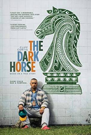 The Dark Horse 2014 HDRip XviD AC3-EVO