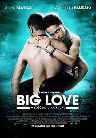 Big Love (2012)DVDrip Xvid[polish][english subs]
