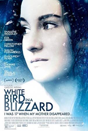White Bird In A Blizzard 2014 LiMiTED FRENCH DVDRip XviD-DesTroY